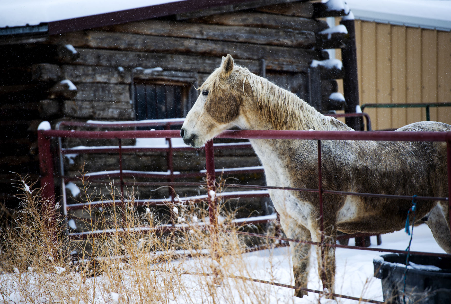112719-news-snow 5.JPG